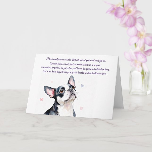 Tarjeta Simpatía Canina Boston Terrier con Memorial (Orquídea)