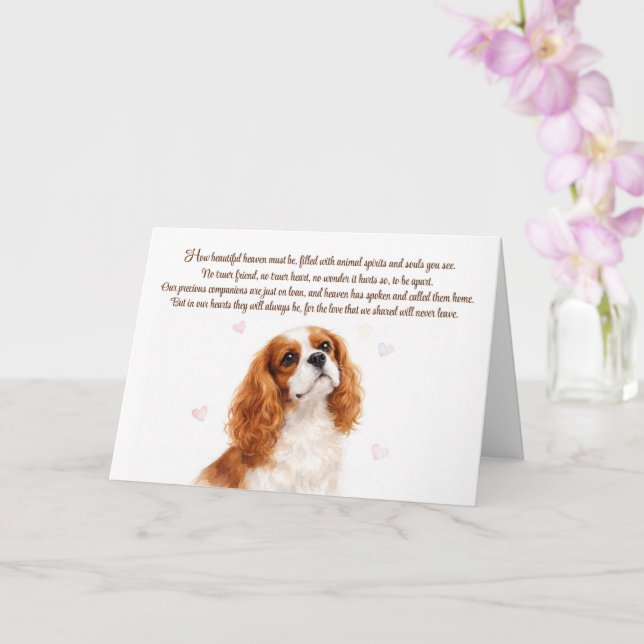 Tarjeta Simpatía Canina Cavalier King Charles Spaniel (Orquídea)