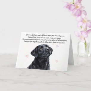 Tarjeta Simpatía Canina Labrador Negro Lab Espiritual