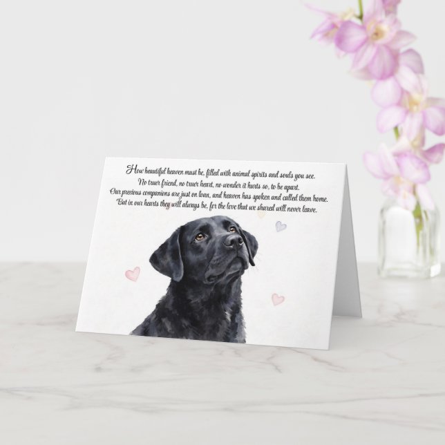 Tarjeta Simpatía Canina Labrador Negro Lab Espiritual (Orquídea)