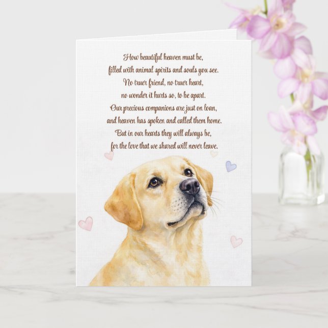 Tarjeta Simpatía Canina Labrador Retriever Amarillo  (Orquídea)