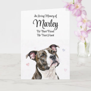 Tarjeta Simpatía Canina Nombre Personalizado Pitbull Pitty