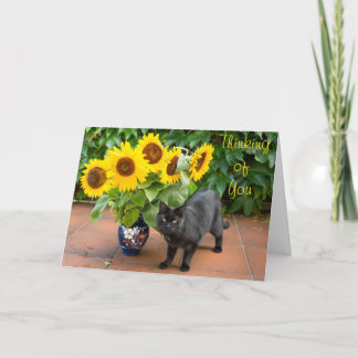 Tarjeta Simpatía con el gato por los girasoles
