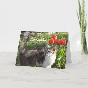 Tarjeta Simpatía con el gato por los tulipanes rojos