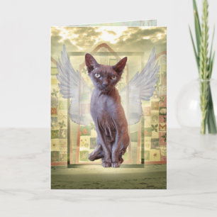 Tarjeta Simpatía con el Mascota Gato Sphynx Angel de Smoke