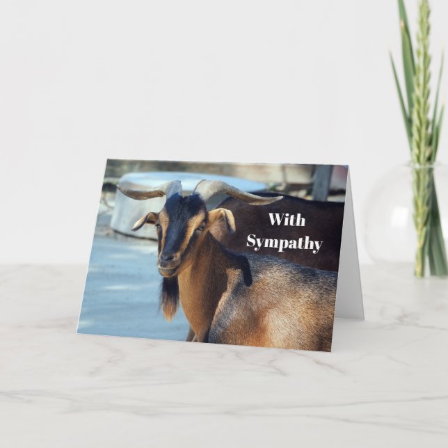 Tarjeta Simpatía de foto de animales de la piel de cabra n (Anverso)
