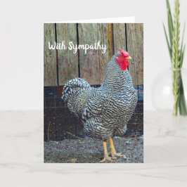 Tarjeta Simpatía de fotos de gallos blancos y negros