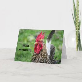 Tarjeta Simpatía de fotos de gallos de pollo