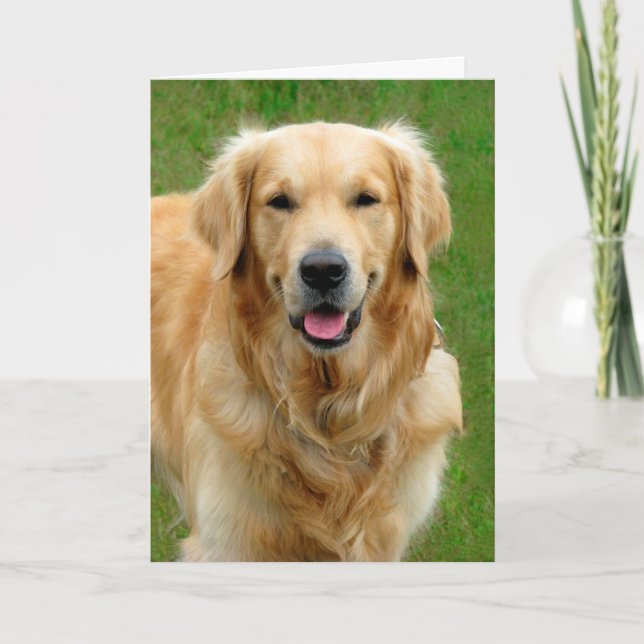 Tarjeta Simpatía de Golden Retriever (Anverso)