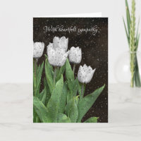 Simpatía de los tulipanes blancos con gotas de llu