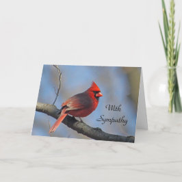 Tarjeta Simpatía del Cardenal Red Songbird
