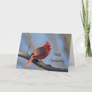 Tarjeta Simpatía del Cardenal Red Songbird