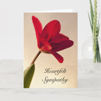 Tarjeta Simpatía elegante de los tulipanes rojos