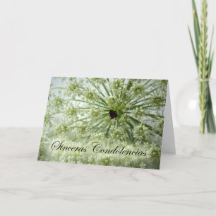 Tarjeta Simpatía en español, encaje de la reina Anne, flor