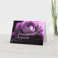 Simpatía en lengua italiana Rosa morado