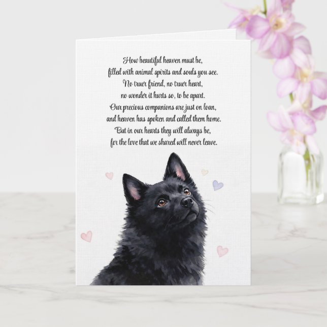 Tarjeta Simpatía Espiritual Schipperke Pérdida de Perro (Orquídea)