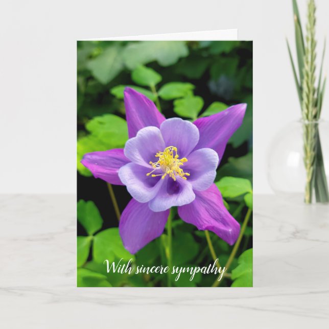 Tarjeta Simpatía Flor de Columba púrpura (Anverso)