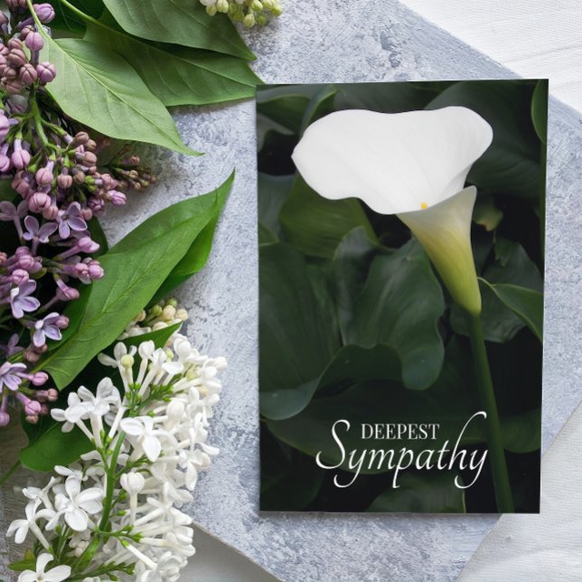 Tarjeta Simpatía floral de Calla blanca (In Situ)