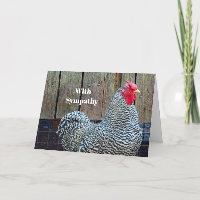 Tarjeta Simpatía fotográfica de gallo negro y blanco (Anverso)