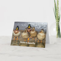 Simpatía fotográfica de los Ducks de Wildlife Mall