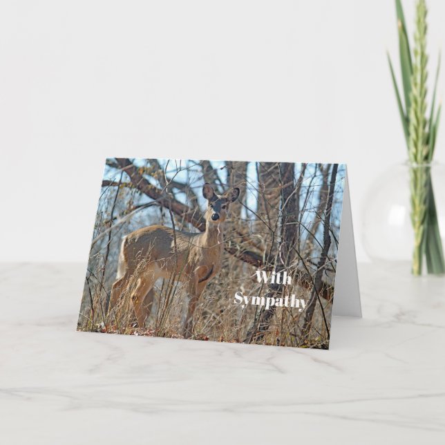 Tarjeta Simpatía fotográfica de Wildlife Deer Woods (Anverso)