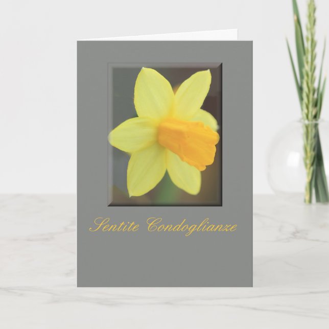 Tarjeta Simpatía italiana Daffodil amarillo (Anverso)