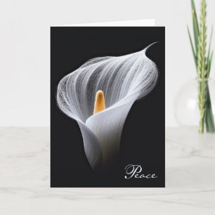 Tarjeta Simpatía Lirio de Paz Blanca en negro