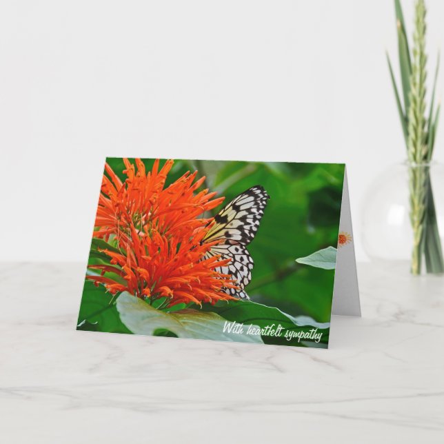 Tarjeta Simpatía mariposa en naranja de miel mexicana (Anverso)