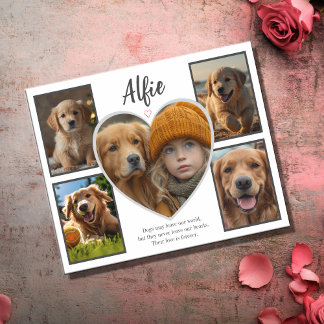 Tarjeta Simpatía mascota 5 Collage de fotos