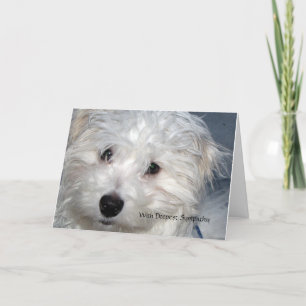 Tarjeta Simpatía mascota - pérdida de un perro