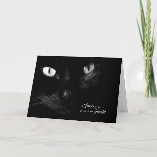 Tarjeta Simpatía mascota por la pérdida de un gato - gato  (Anverso)