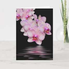 Tarjeta Simpatía Orquídea Rosa Reflexión Negra