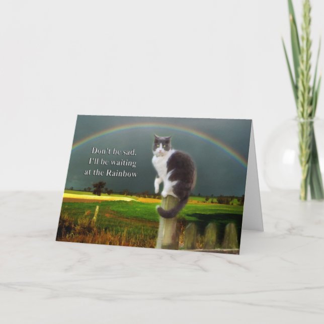 Tarjeta Simpatía - Pérdida de gato Mascota (Anverso)