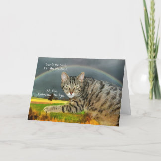 Tarjeta Simpatía - Pérdida del gato del Mascota Tabby