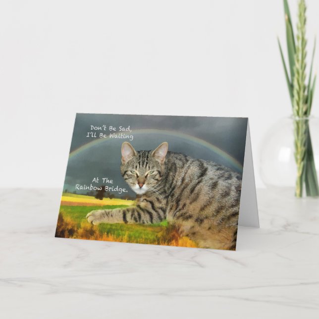 Tarjeta Simpatía - Pérdida del gato del Mascota Tabby (Anverso)