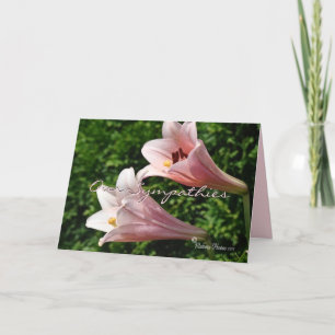 Tarjeta Simpatía- Pk Trumpet Lily- personalizar en cualqui