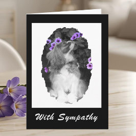 Tarjeta Simpatía por Cavalier King Charles Spaniel