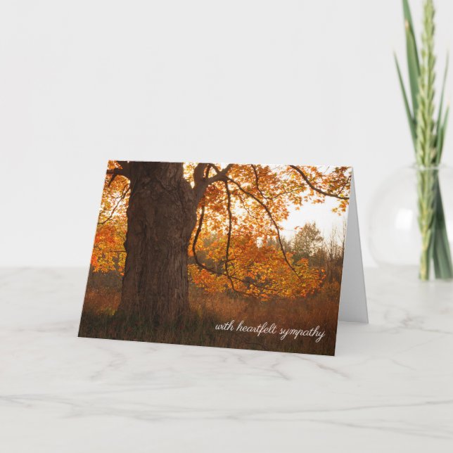 Tarjeta Simpatía por el árbol de roble otoñal (Anverso)