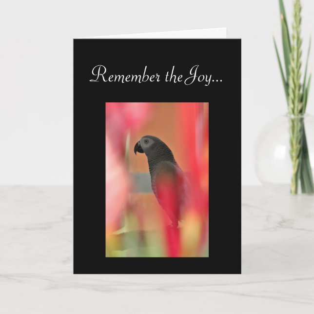 Tarjeta Simpatía por el Mascota del loro gris africano (Anverso)