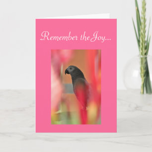 Tarjeta Simpatía por el Mascota del loro gris africano