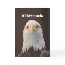 Simpatía por el retrato del águila calva