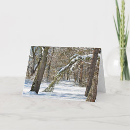 Tarjeta Simpatía por la escena del invierno