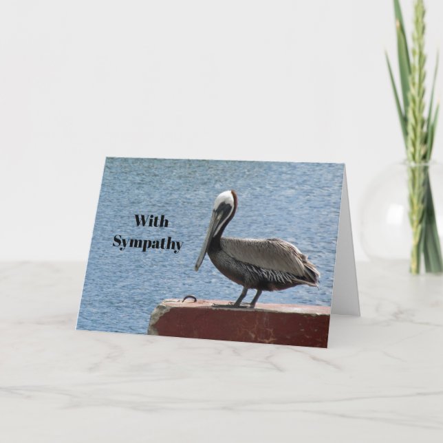 Tarjeta Simpatía por la foto de agua Pelican en Wildlife B (Anverso)