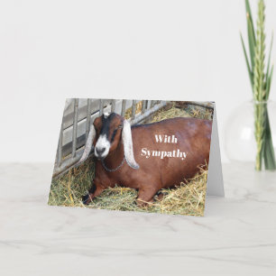 Tarjeta Simpatía por la foto de Bonito Brown
