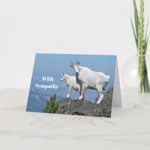 Tarjeta Simpatía por la foto de las cabras blancas de mont