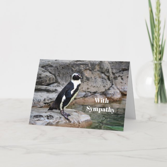 Tarjeta Simpatía por la foto de los pingüinos salvajes (Anverso)