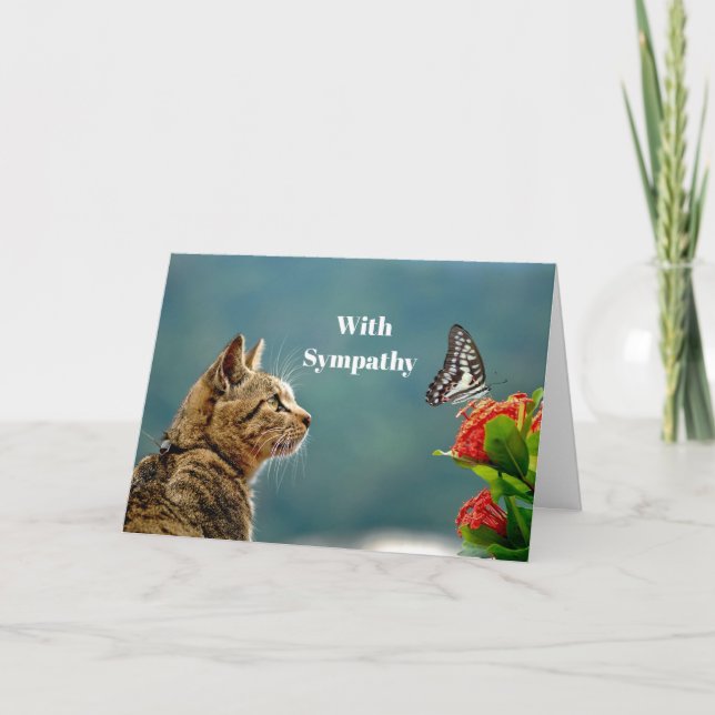 Tarjeta Simpatía por la foto de mariposa del gato de Tabby (Anverso)