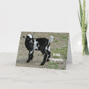 Tarjeta Simpatía por la foto de un bebé blanco y negro
