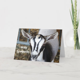 Tarjeta Simpatía por la foto de una cabra