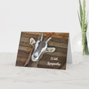 Tarjeta Simpatía por la foto de una cabra blanca y marrón